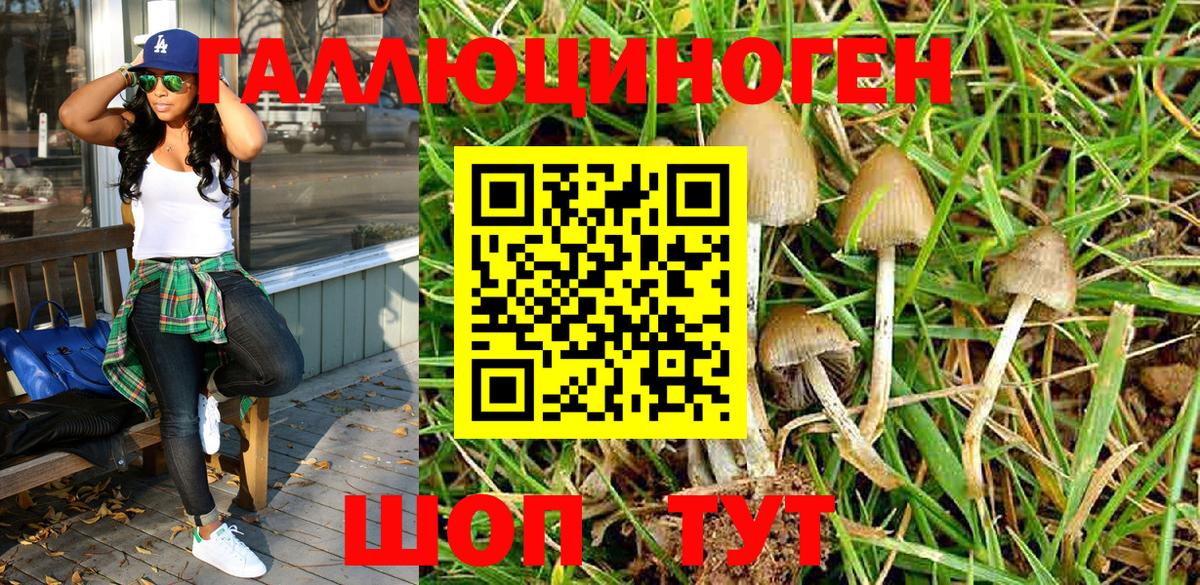 Псилоцибиновые грибы мицелий Армавир